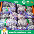 2016 new crop Prima garlic for sale with lowest price